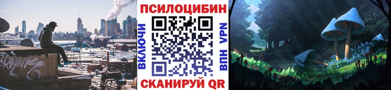 дарнет шоп  Юрга  Псилоцибиновые грибы Psilocybe 