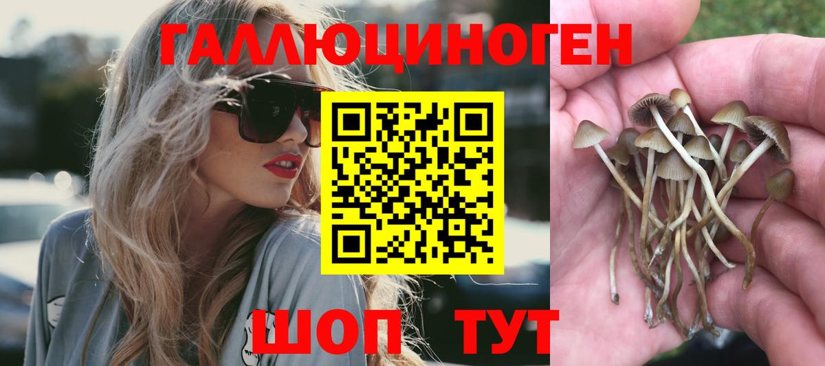 Галлюциногенные грибы мицелий  Галлюциногенные грибы Magic Shrooms  Вход с VPN  Юрга 